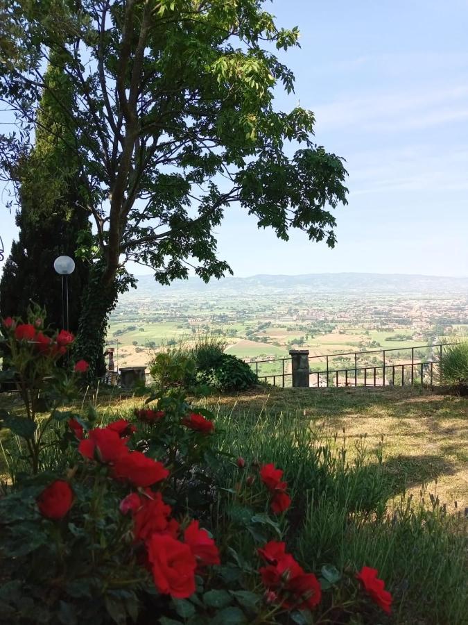 Residenza Messer Pajola Assisi Buitenkant foto