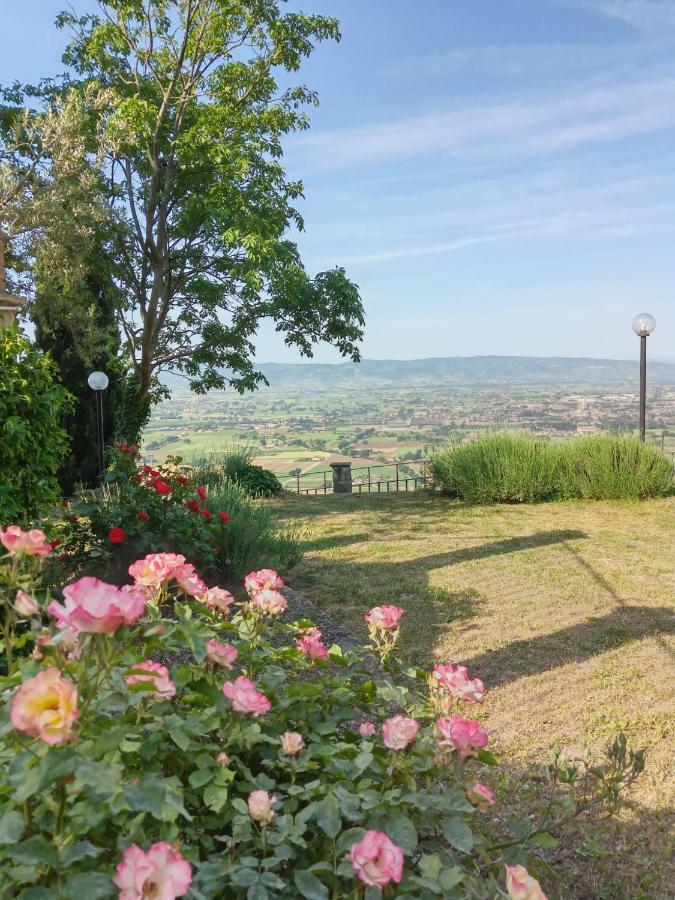 Residenza Messer Pajola Assisi Buitenkant foto