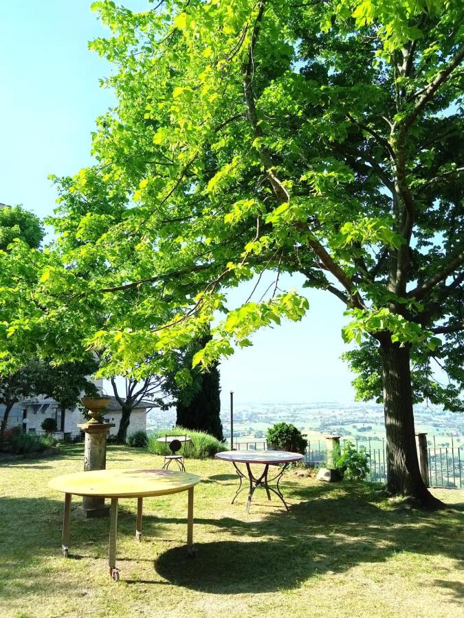 Residenza Messer Pajola Assisi Buitenkant foto