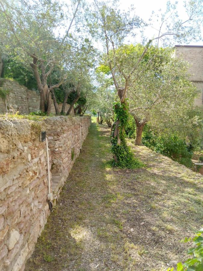 Residenza Messer Pajola Assisi Buitenkant foto